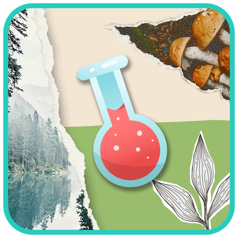 Ciencias Naturales <BR>Primer Grado