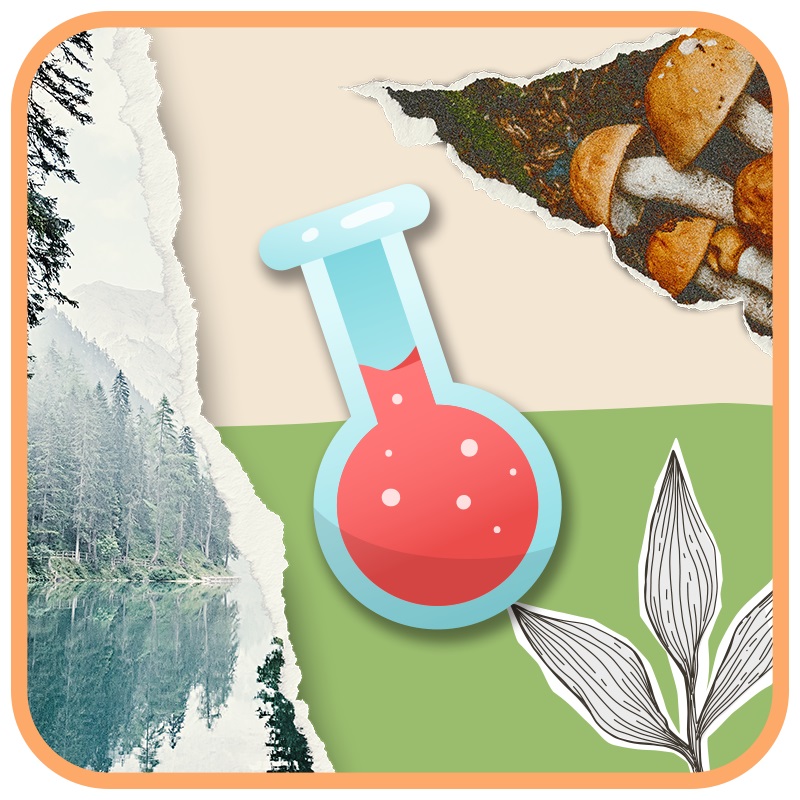 Ciencias Naturales <BR>Segundo Grado