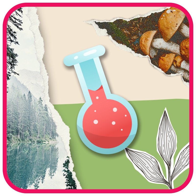 Ciencias Naturales <BR> Tercer Grado